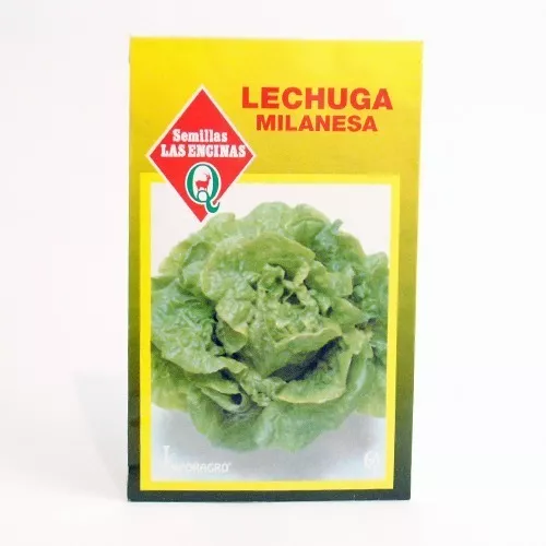 Lechuga Milanesa